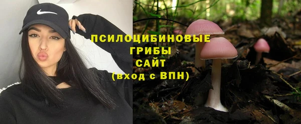 ешки Алексеевка
