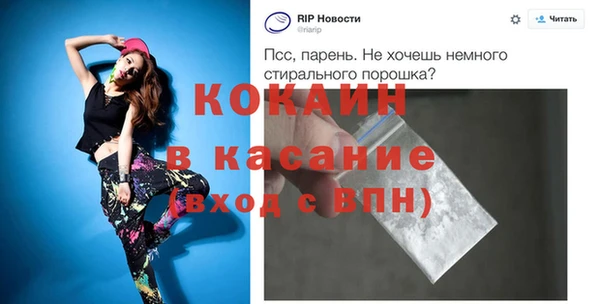 индика Алзамай