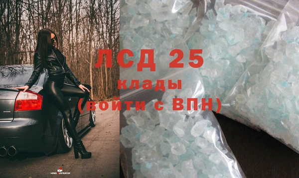 индика Алзамай