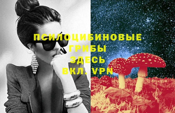 индика Алзамай
