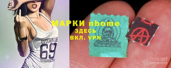индика Алзамай