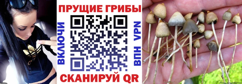 Галлюциногенные грибы мухоморы  Шахты 