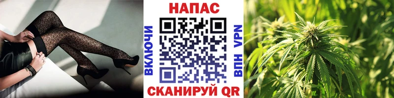 Канабис семена  гидра вход  Шахты 